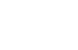 The Aspen Group